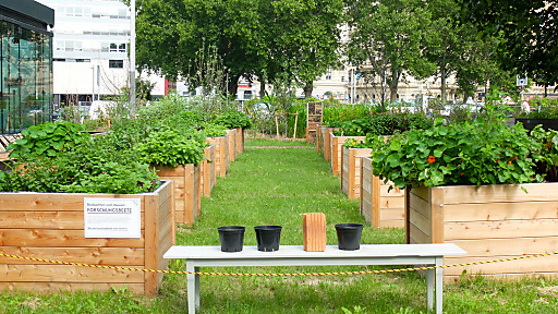 Karls Garten Am Karlsplatz Erwacht Aus Dem Winterschlaf